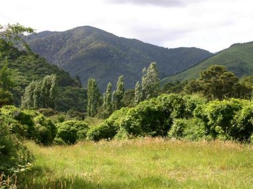 106 Bucks Road, Featherston