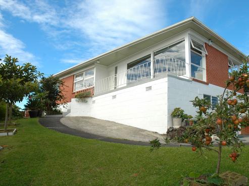 29 Juliet Avenue, Howick