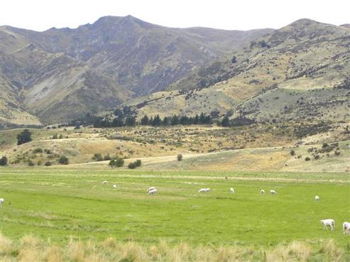 102 Mccarthy Road, Hawea Flat