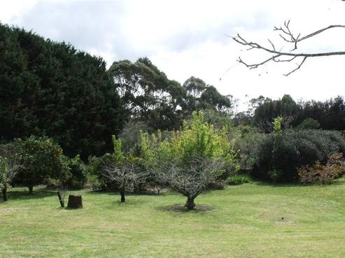 3B Totara Place, Kerikeri