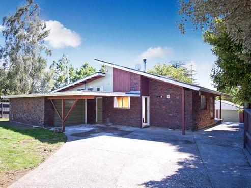 20 Morrow Terrace, Pukekohe