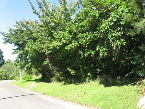 4 Waitangi Road, Lake Tarawera