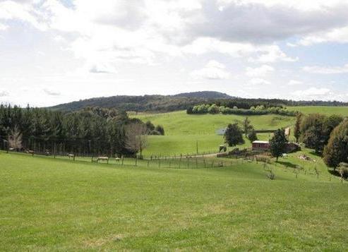 640 Brunskill Road, Te Miro