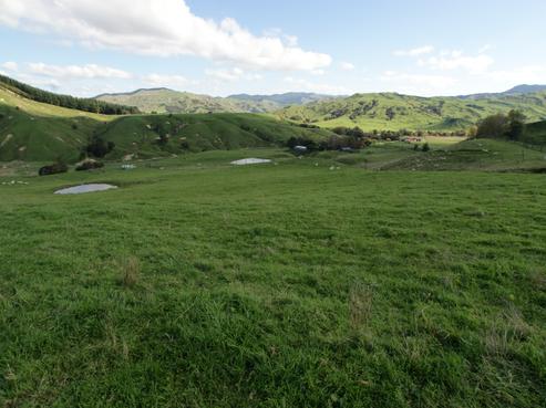 981 Waingake Road, Muriwai