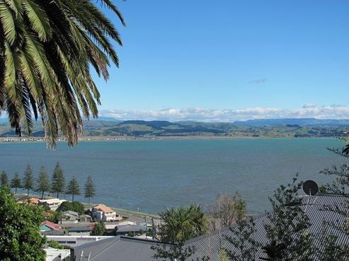 149 Thompson Road, Napier Hill