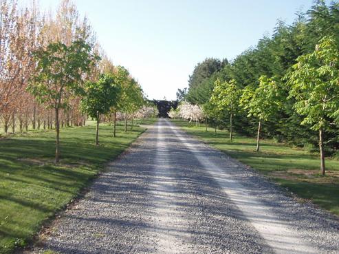 607 Hoskyns Road, West Melton