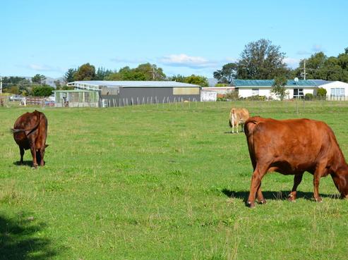 76 Evans Road, Upper Plain