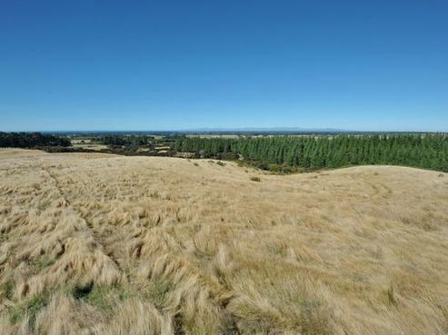 1185 Marshmans Road, Balcairn