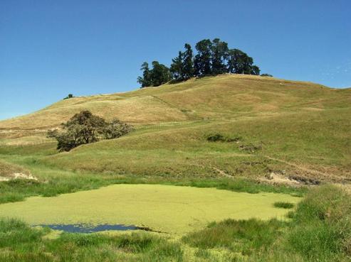 489 Kawera Road, Puketapu