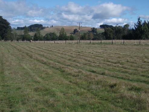 119 Tapairu Road, Waipawa