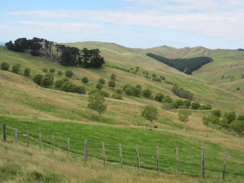 53 Jones Road, Porangahau