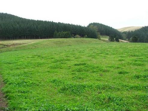 778 State Highway 2, Otane