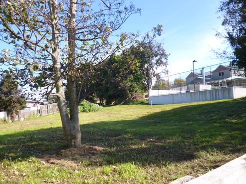 8A Diana Place, Otamatea