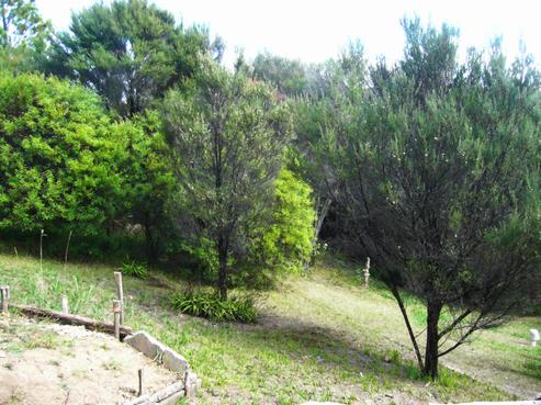 43 Goffe Drive, Haruru