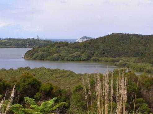 54A Goffe Drive, Haruru