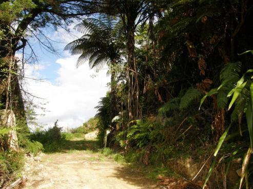 1660 Mokau Road, Uruti