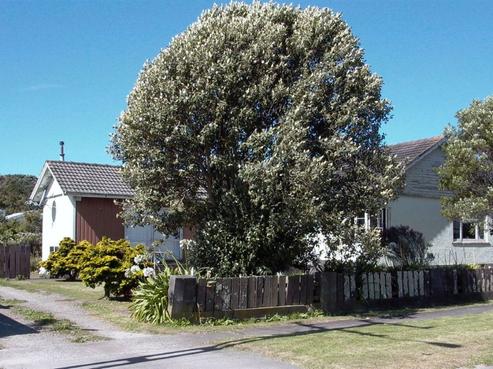 44 Blake Street, Waitara
