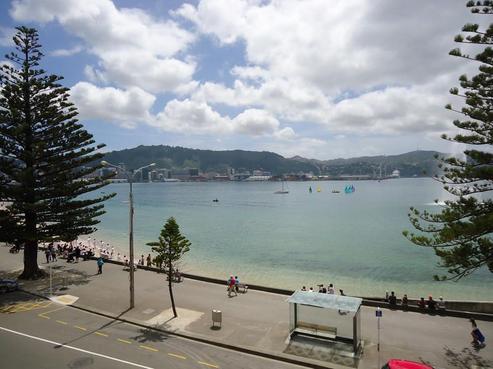 2/236 Oriental Parade, Oriental Bay