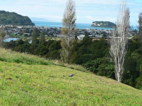 119 Te Pamahue Drive, Whangamata