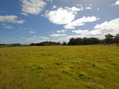 46C Cromarty Drive, Martinborough
