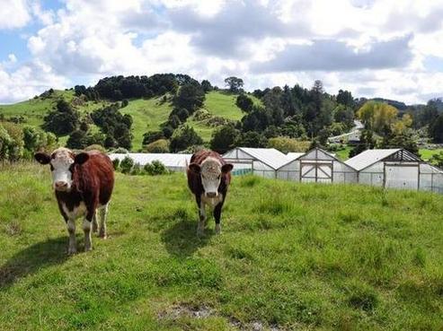 6 Paparoa Station Road, Paparoa