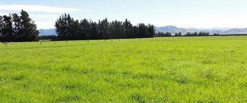 339 Long Plantation Road, Culverden