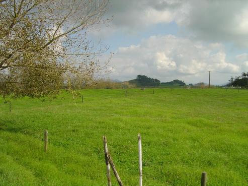 657 Whatitiri Road, Poroti