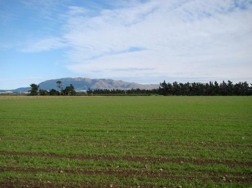 144 Purchas Road, Amberley