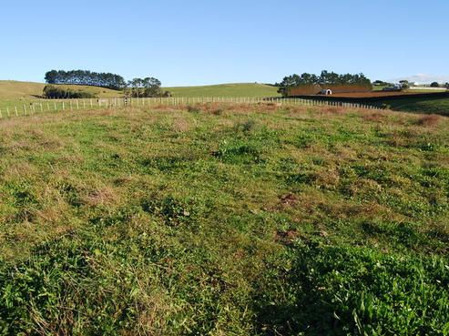 284A Whangarata Road, Tuakau