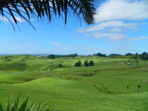 357 Onewhero-tuakau Bridge Road, Onewhero