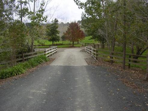 128 Forestry Road, Waitoki