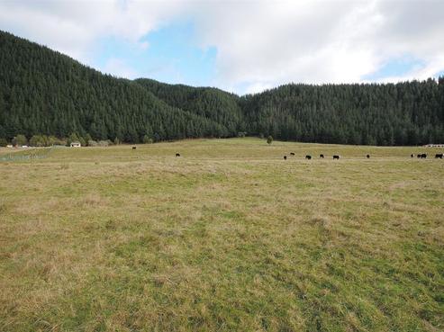 1224 Otaki Gorge Road, Otaki