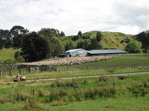 255 Ngaruru Road, Hunterville