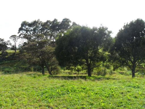 109B Centennial Avenue, Te Aroha