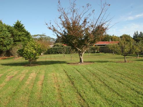 67 Molesworth Drive, Mangawhai