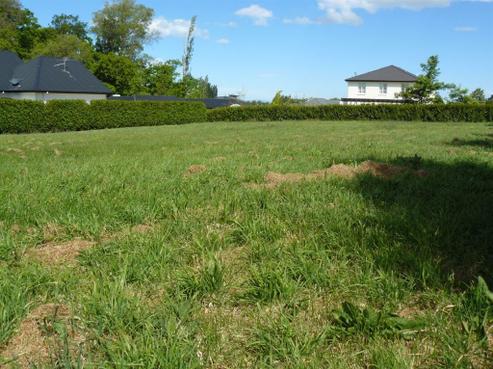 66 Oakgrove Drive, Rangiora