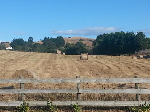 713 Kaiaua Road, Mangatangi