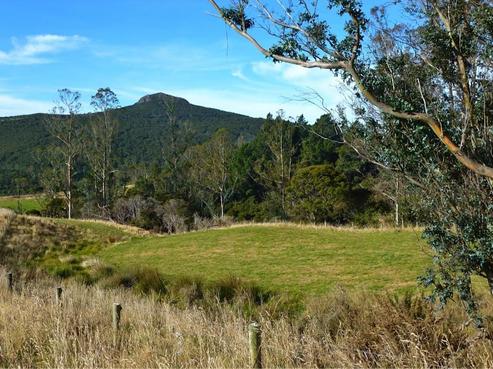 824 Blueskin Road, Mount Cargill