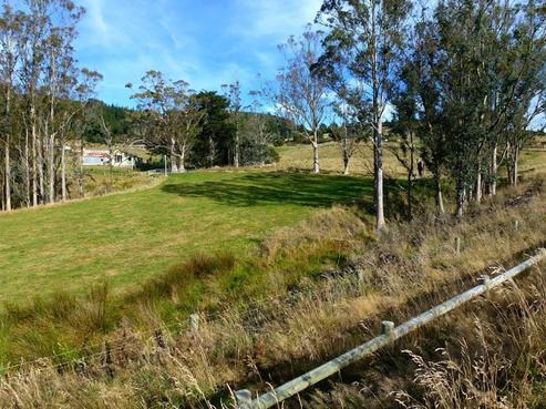 822 Blueskin Road, Mount Cargill