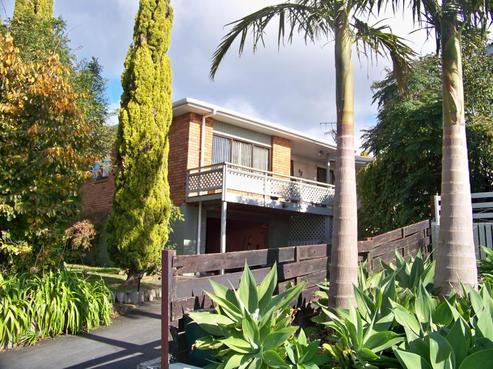 3 Wessex Street, Tikipunga