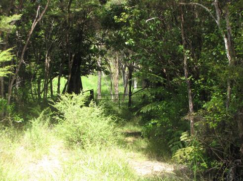 1422 Rawhiti Road, Oakura Coast