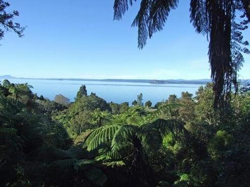 79 Hauraki Terrace, Pukawa
