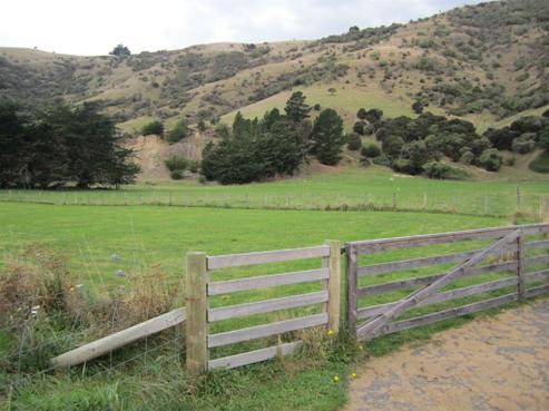1196 Okains Bay Road, Okains Bay