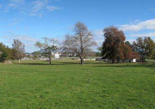 1021 Racecourse Road, Te Awamutu