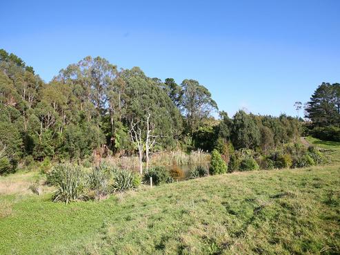 296 Surrey Hill Road, Oakura