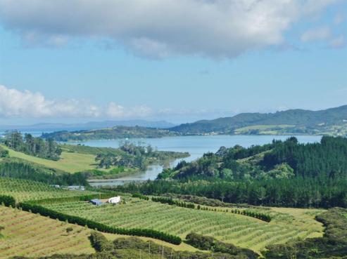 41 Frantoio Ridge Road, Mangonui