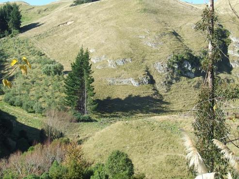 311 Durham Drive, Havelock North