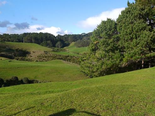 146 Beaver Road, Pukekohe East