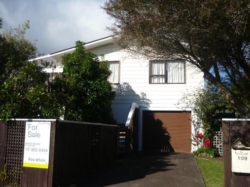 109 Avalon Place, Whangamata