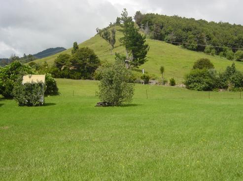 48 Mako Avenue, Whiritoa